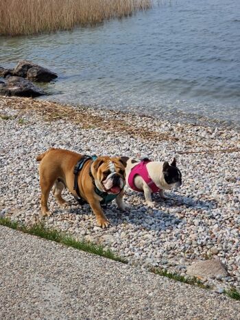 Emmy und Maxima sind Jahresmaskottchen 2025!