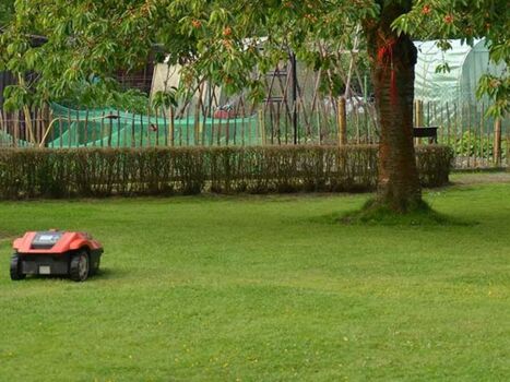 1.000qm Garten, es mäht der Rasenroboter