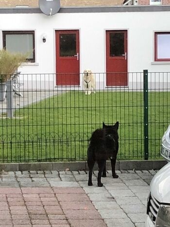 Das Grundstück ist rundum umzäunt.