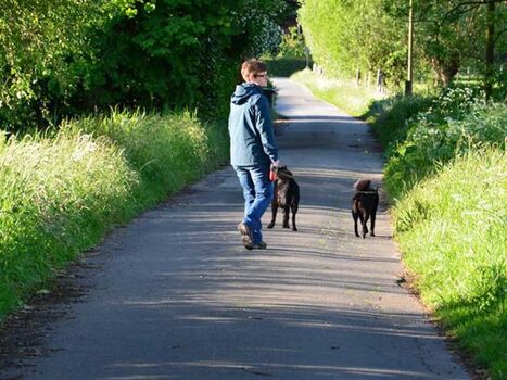 Spazieren mit dem Hund