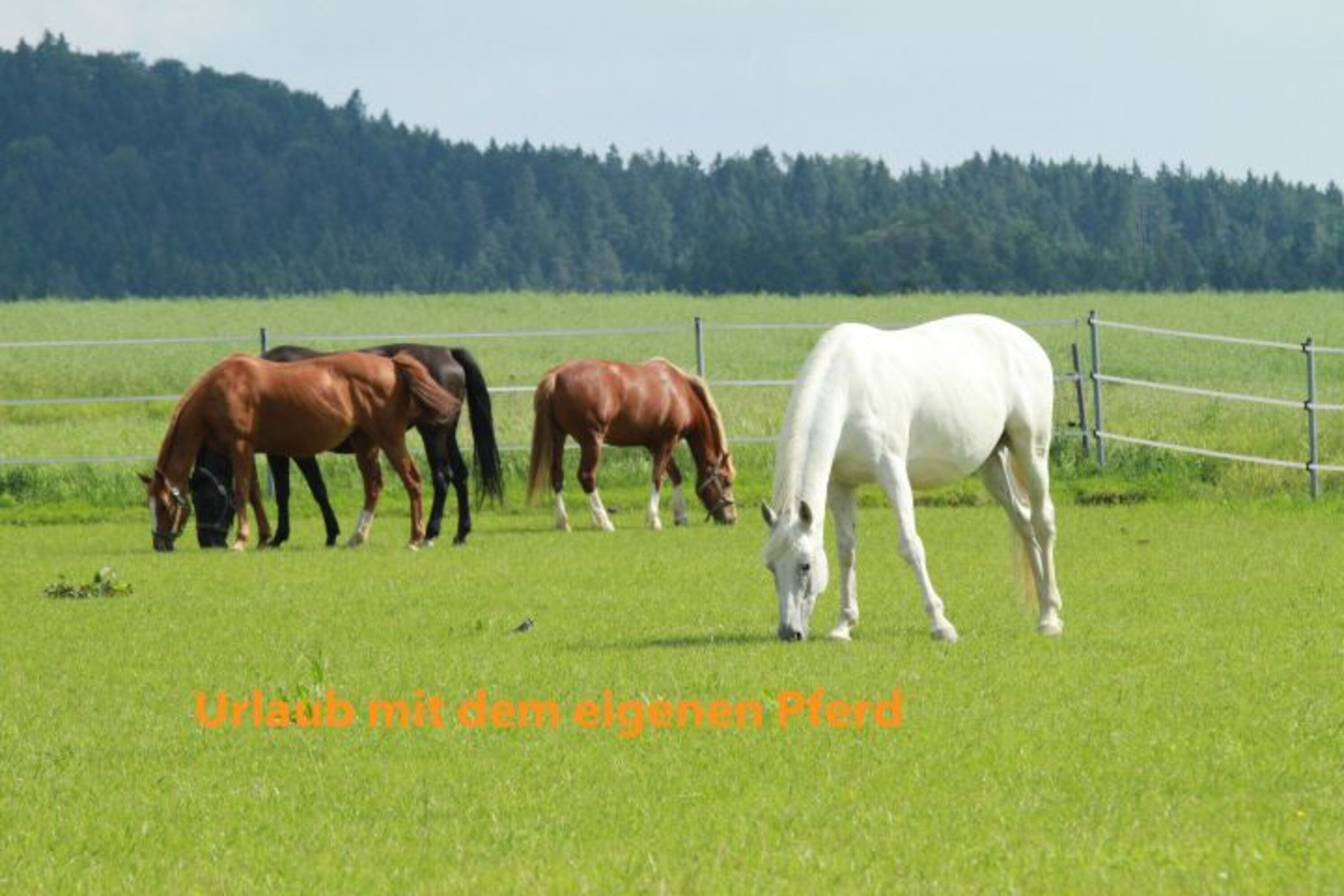 Bild 22