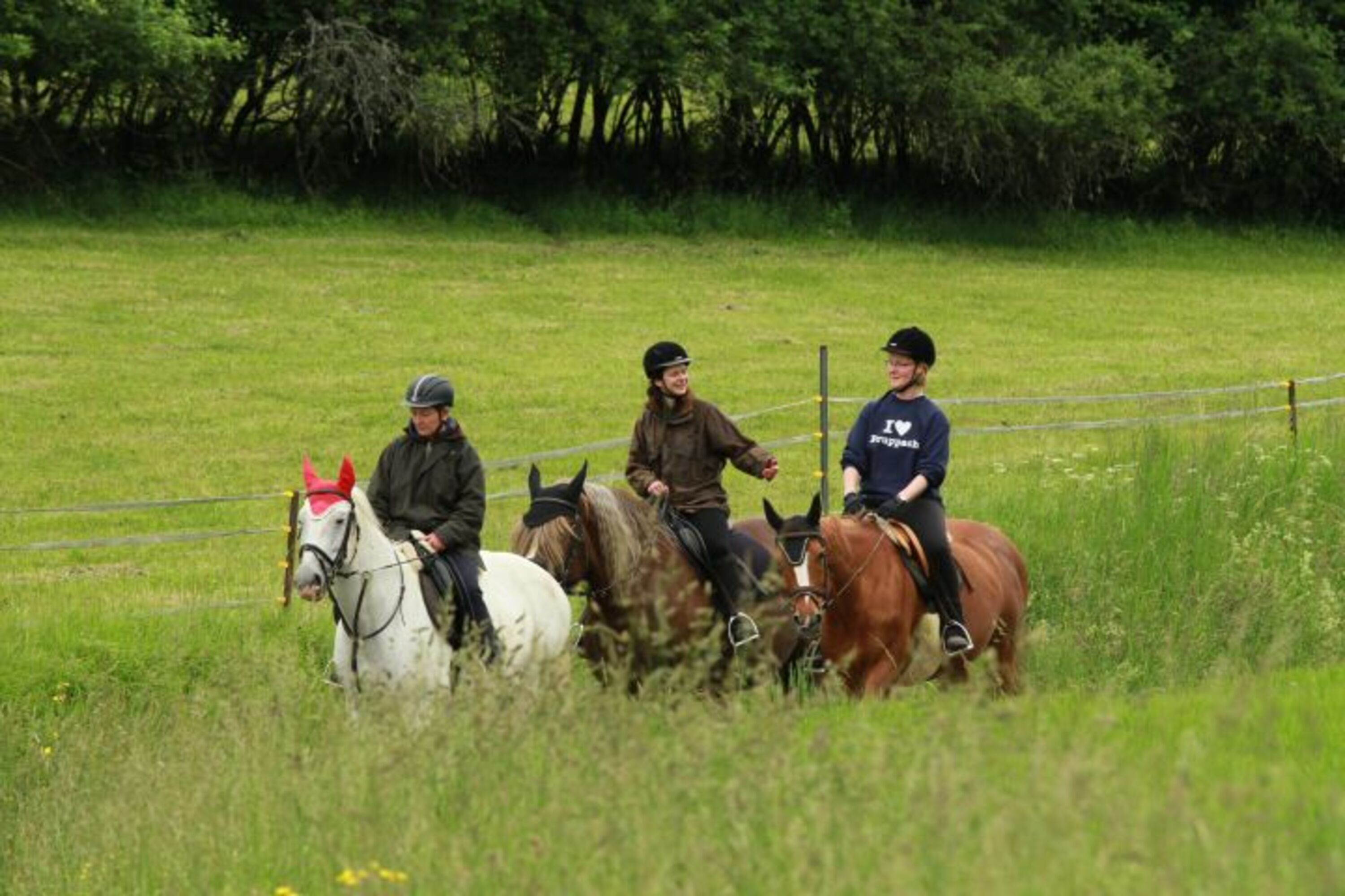 Bild 20