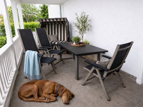 Hundefreundliche Ferienwohnung Göhren