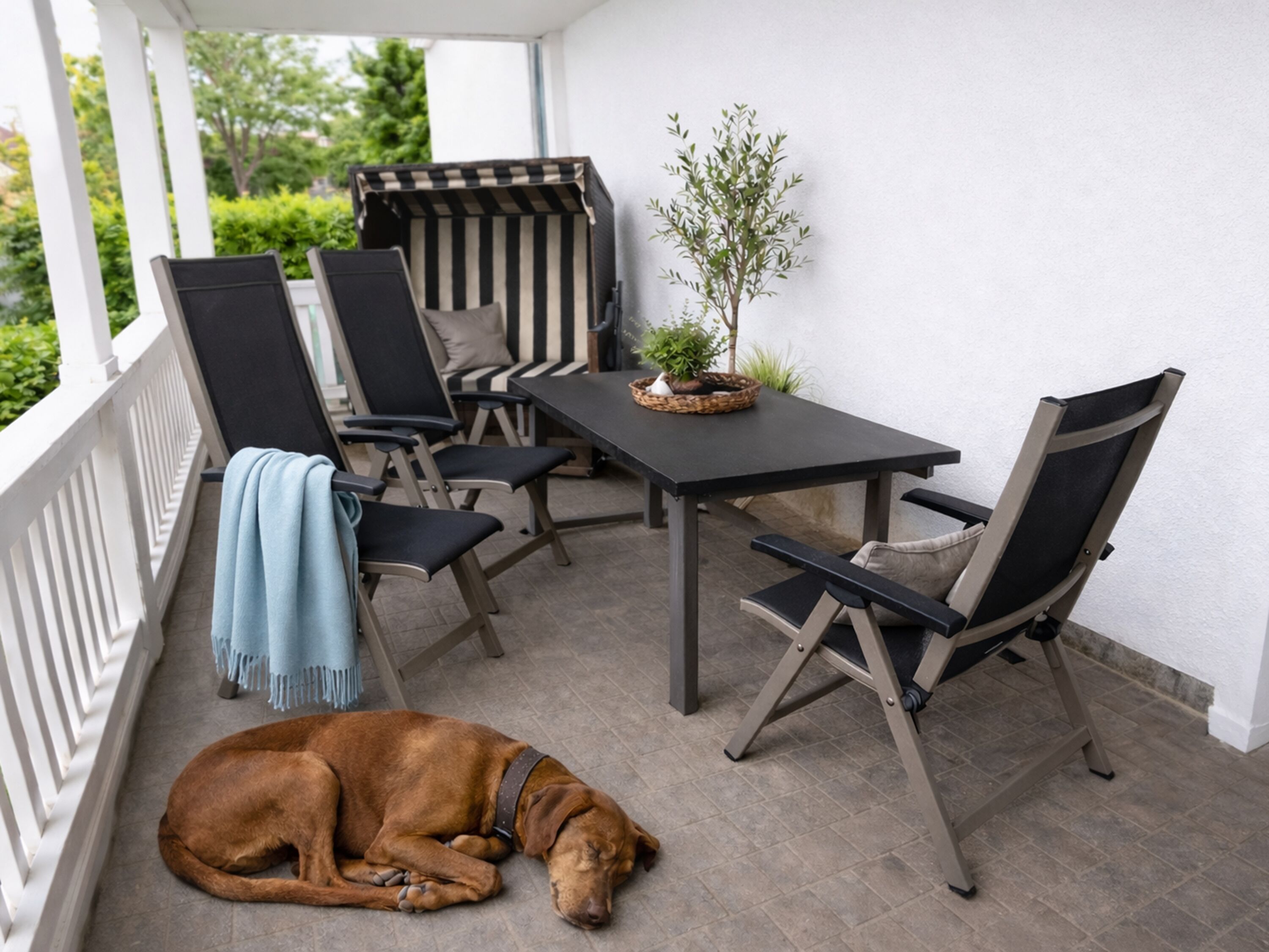 Hundefreundliche Ferienwohnung Göhren