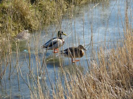 Auch im Winter ist es hier schön
