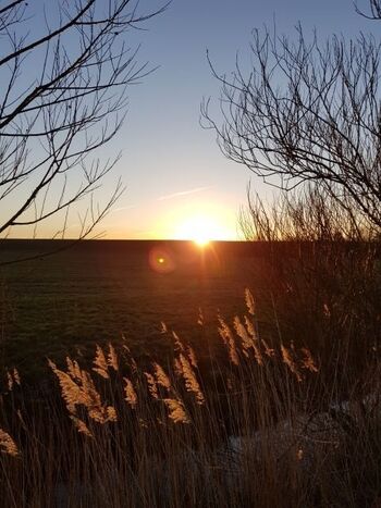 Abendstimmung am Deich