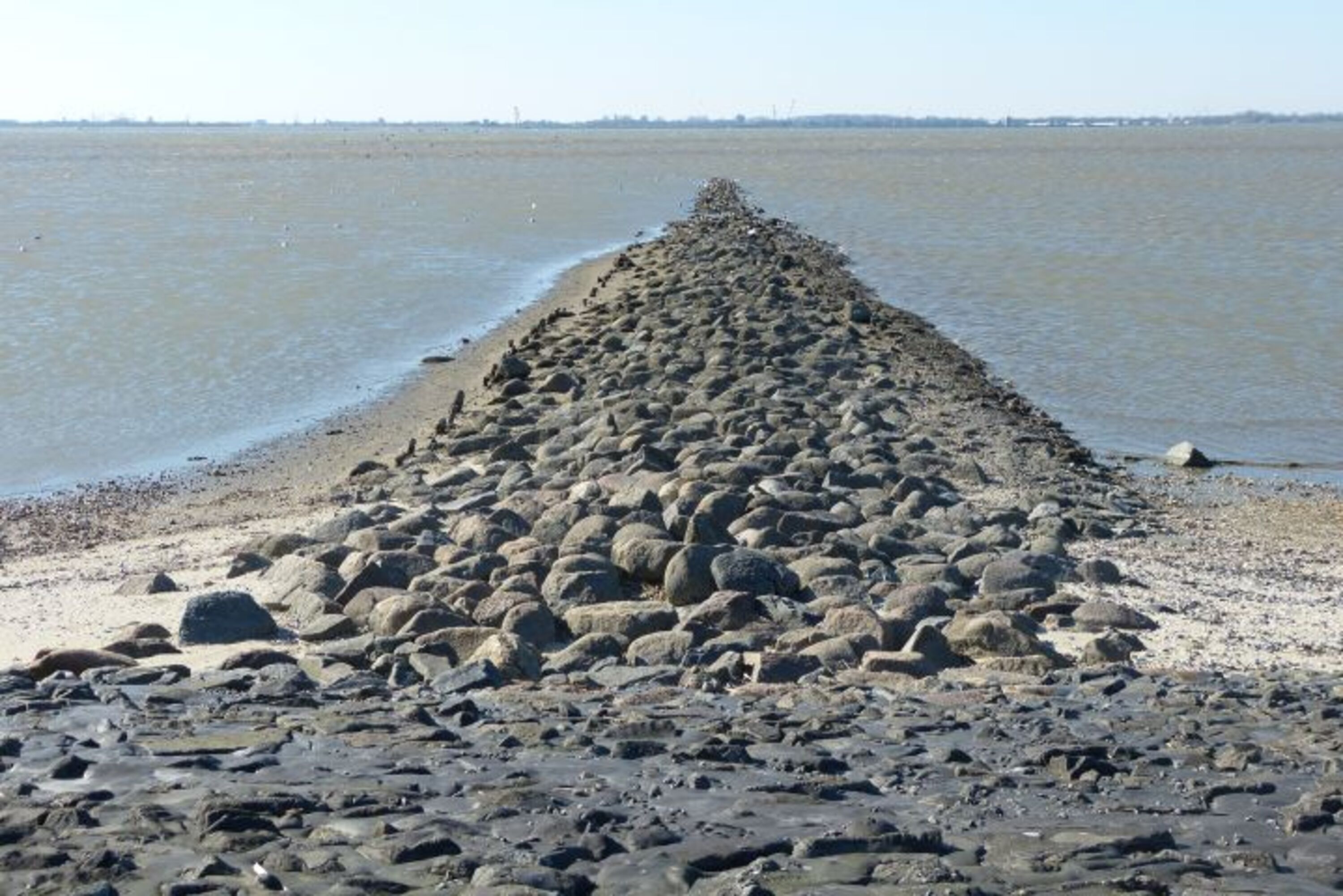 Am Meer