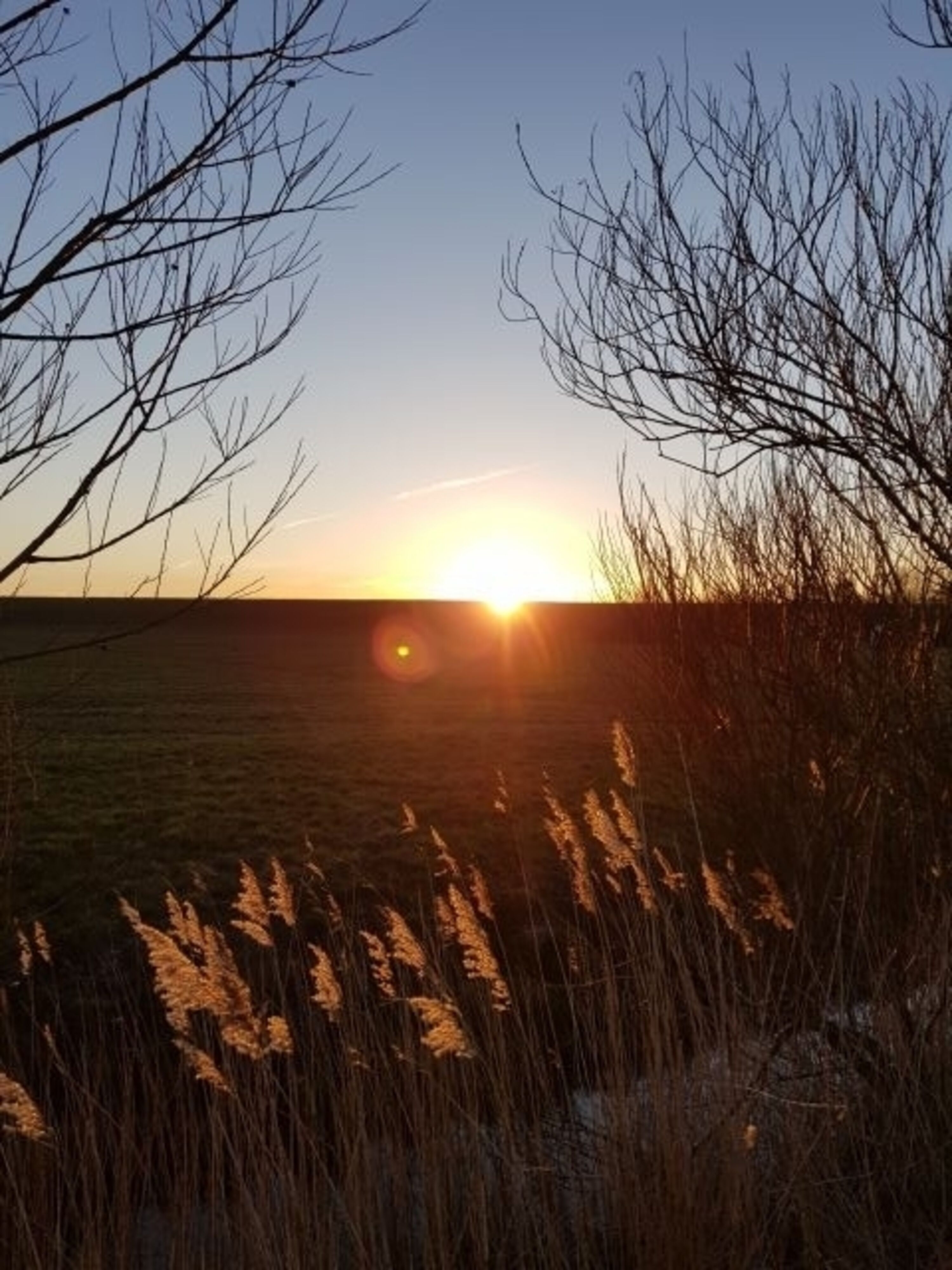 Abendstimmung am Deich