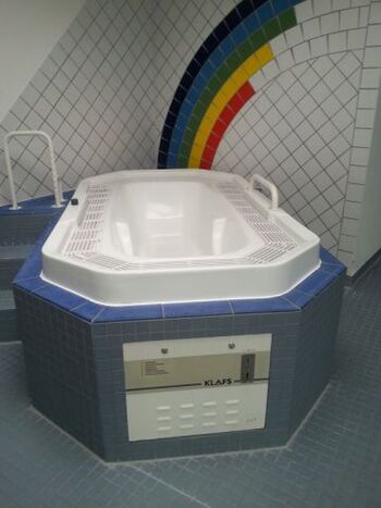 Whirlpool im privaten Hallenbad 