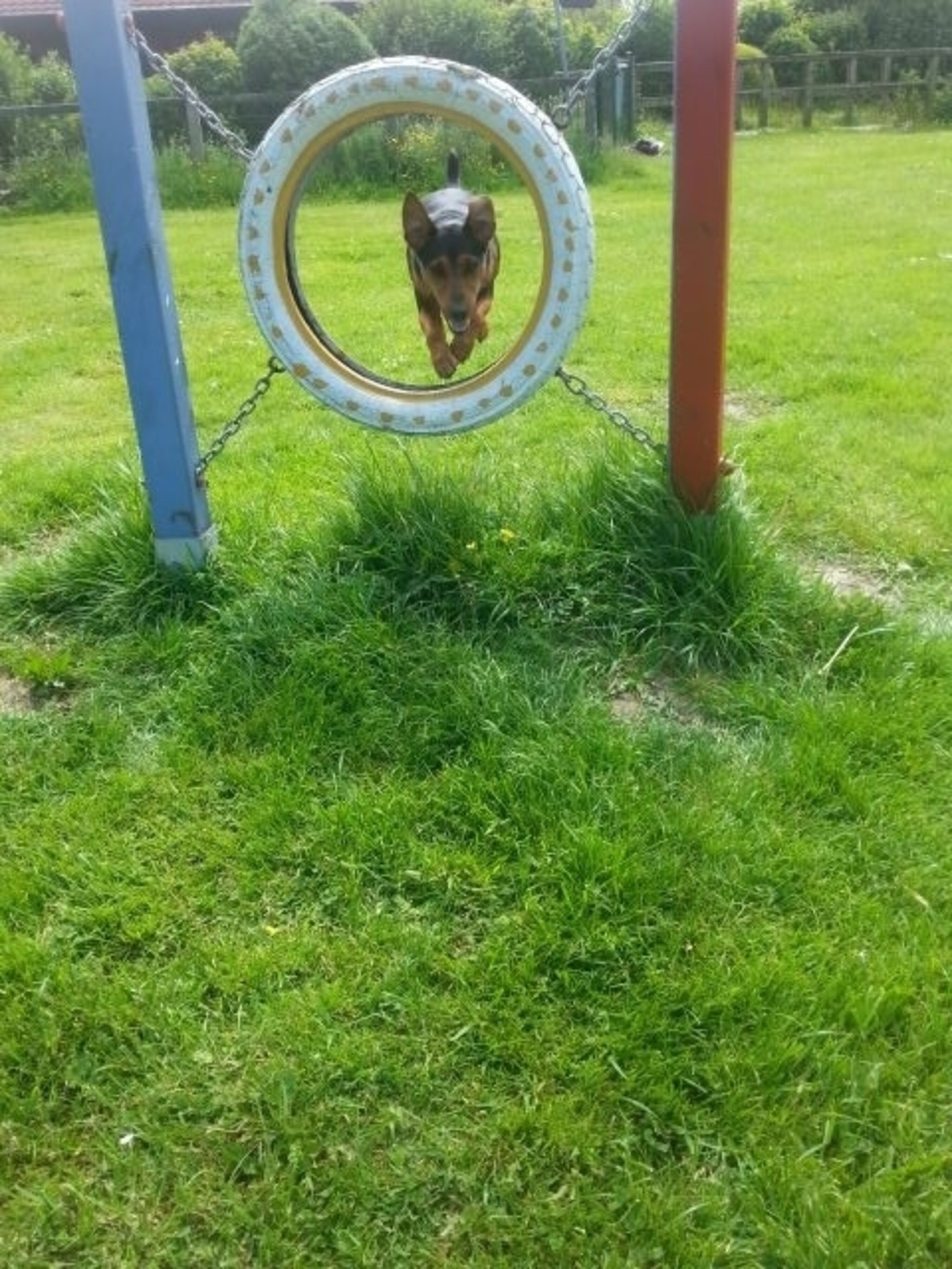 Bild 20