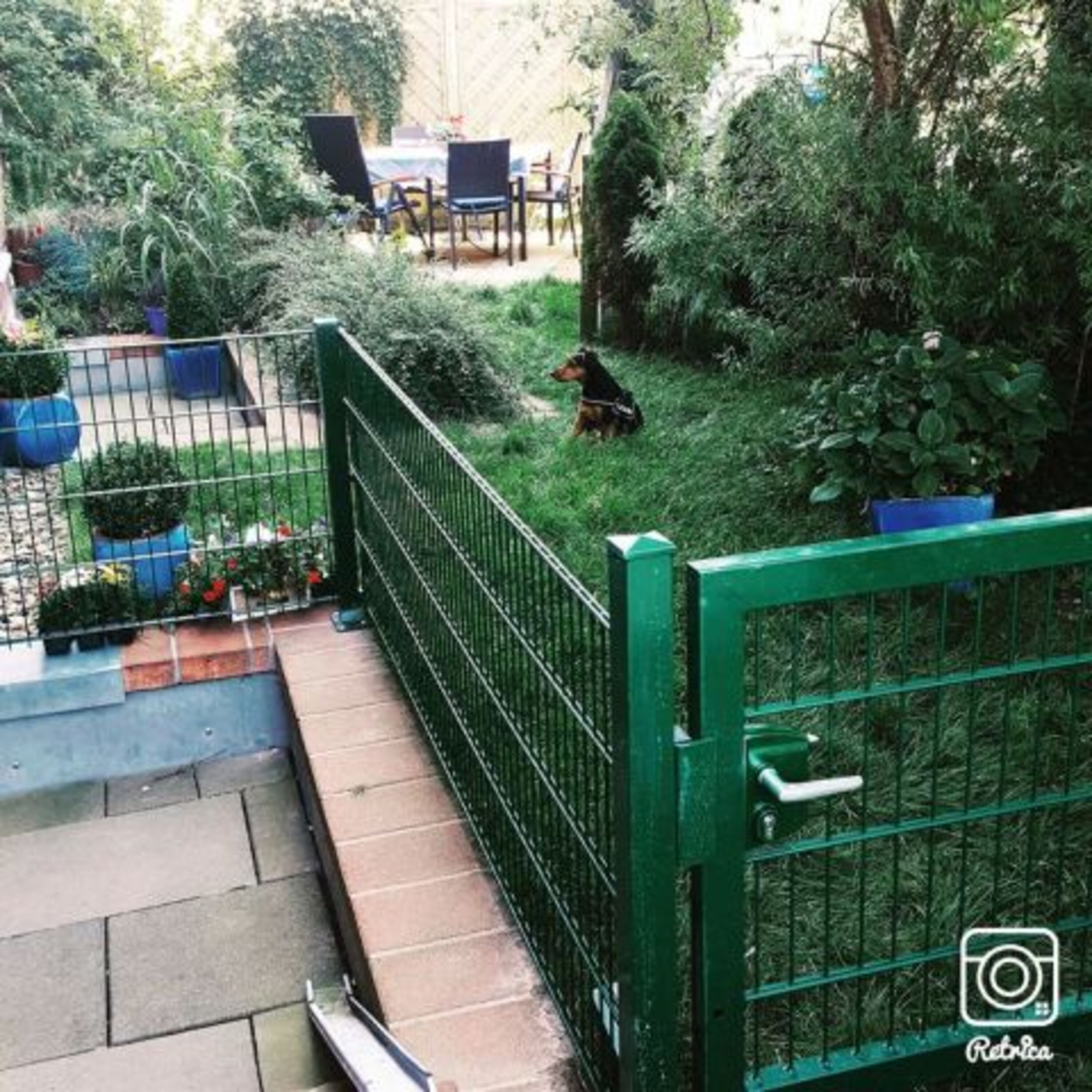 Garten mit Zaun