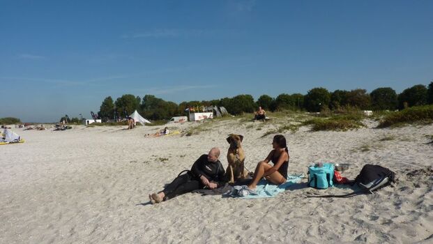 Ihr Hund ist am Strand erlaubt