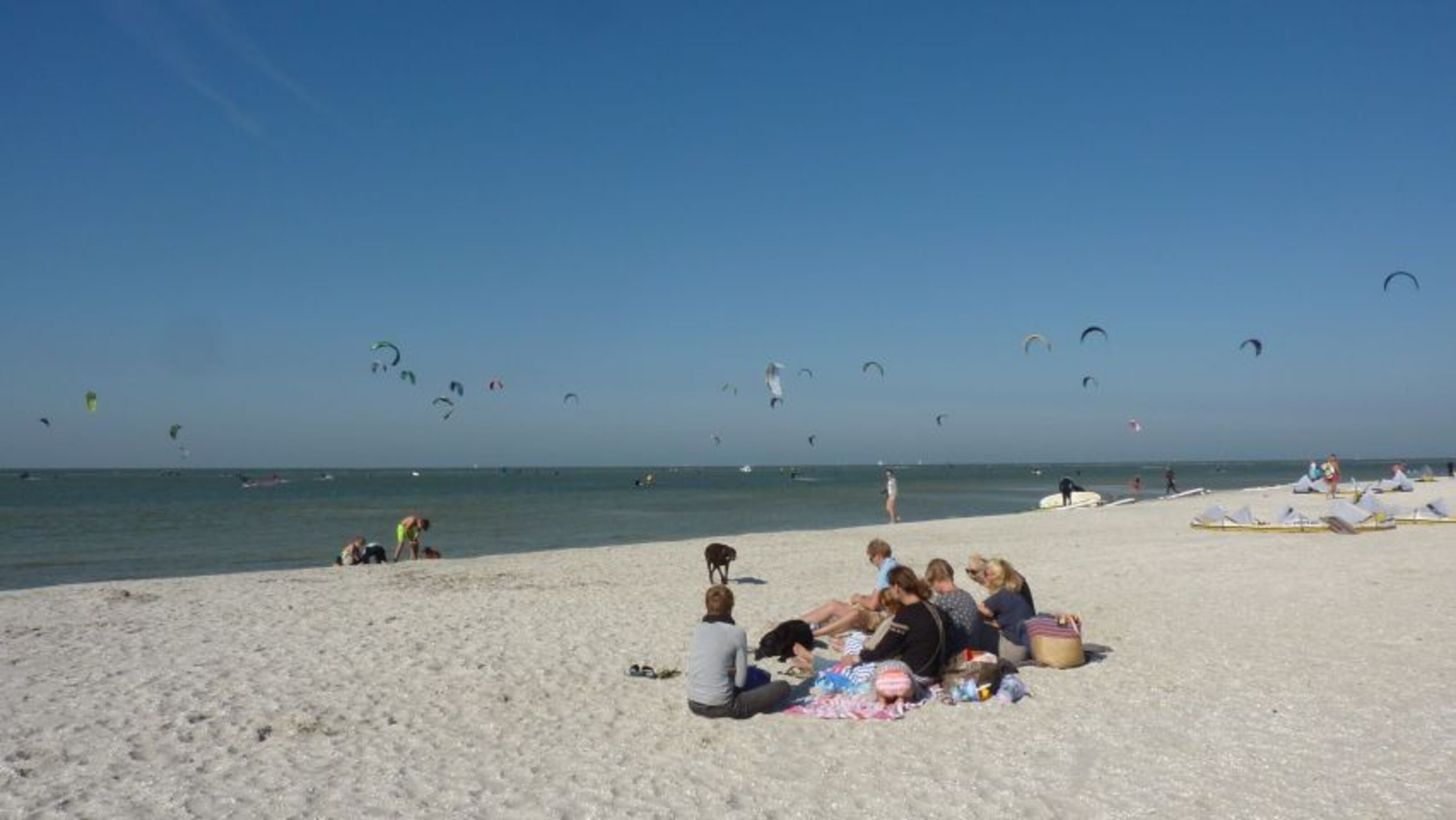 Viel Kite-Surfer