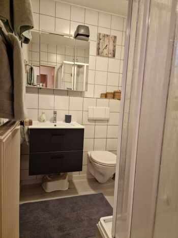 Bad mit Waschbecken, Waschbeckenunterschrank, Spiegelschrank, Kosmetikspiegel, Dusche, WC und Fön