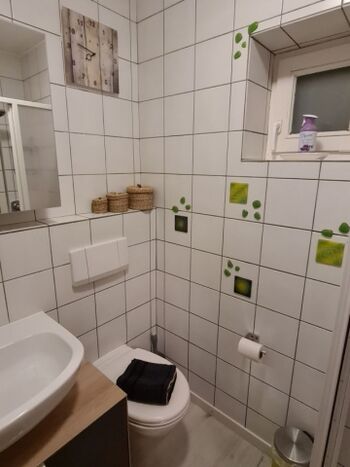Bad mit Waschbecken, Waschbeckenunterschrank, Spiegelschrank, Kosmetikspiegel, Dusche, WC und Fön