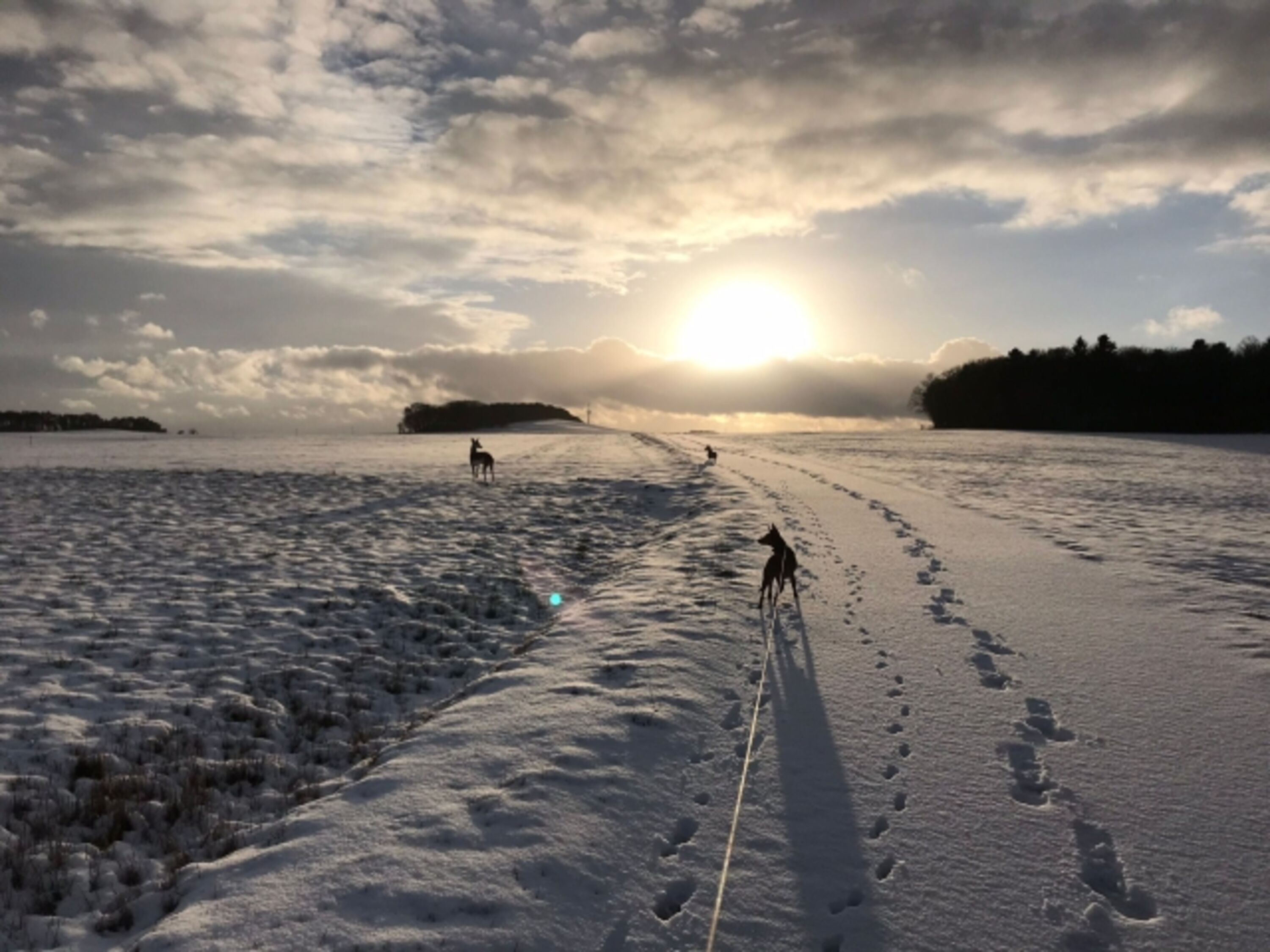 Winterlandschaft
