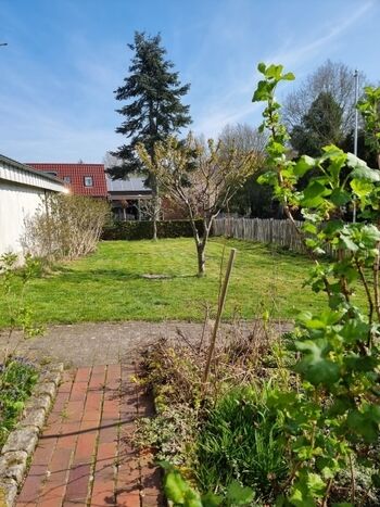 Blick in eingezäunten Garten
