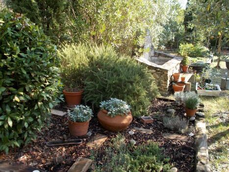 Gewürzgarten für die italienische Küche