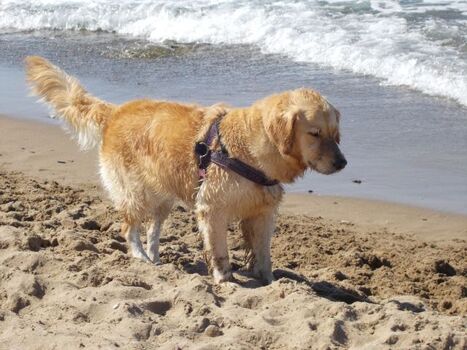 die nächste Welle erwisch ich sicher...