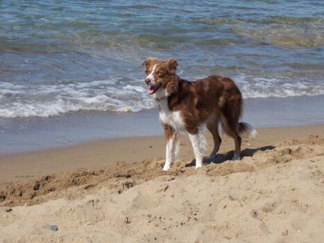 nächstes Jahr komm ich wieder...