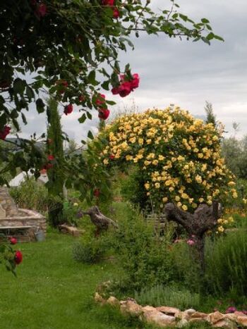 ringsherum nur Gärten und Olivenhaine, Weinberge