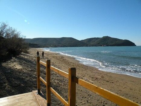 Hundestrand 20min, KOSTENLOS