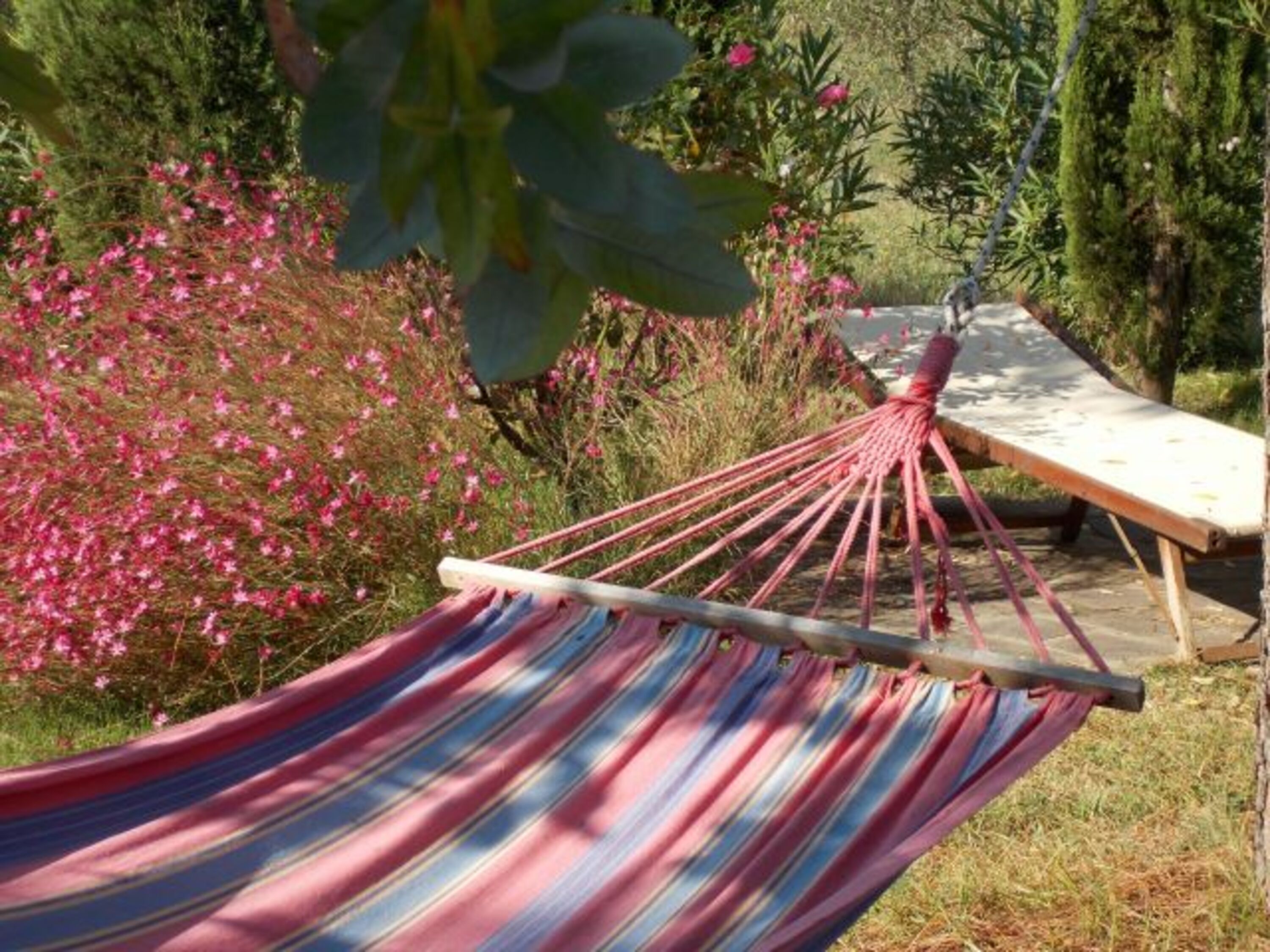 Schattenplätze im Hochsommer