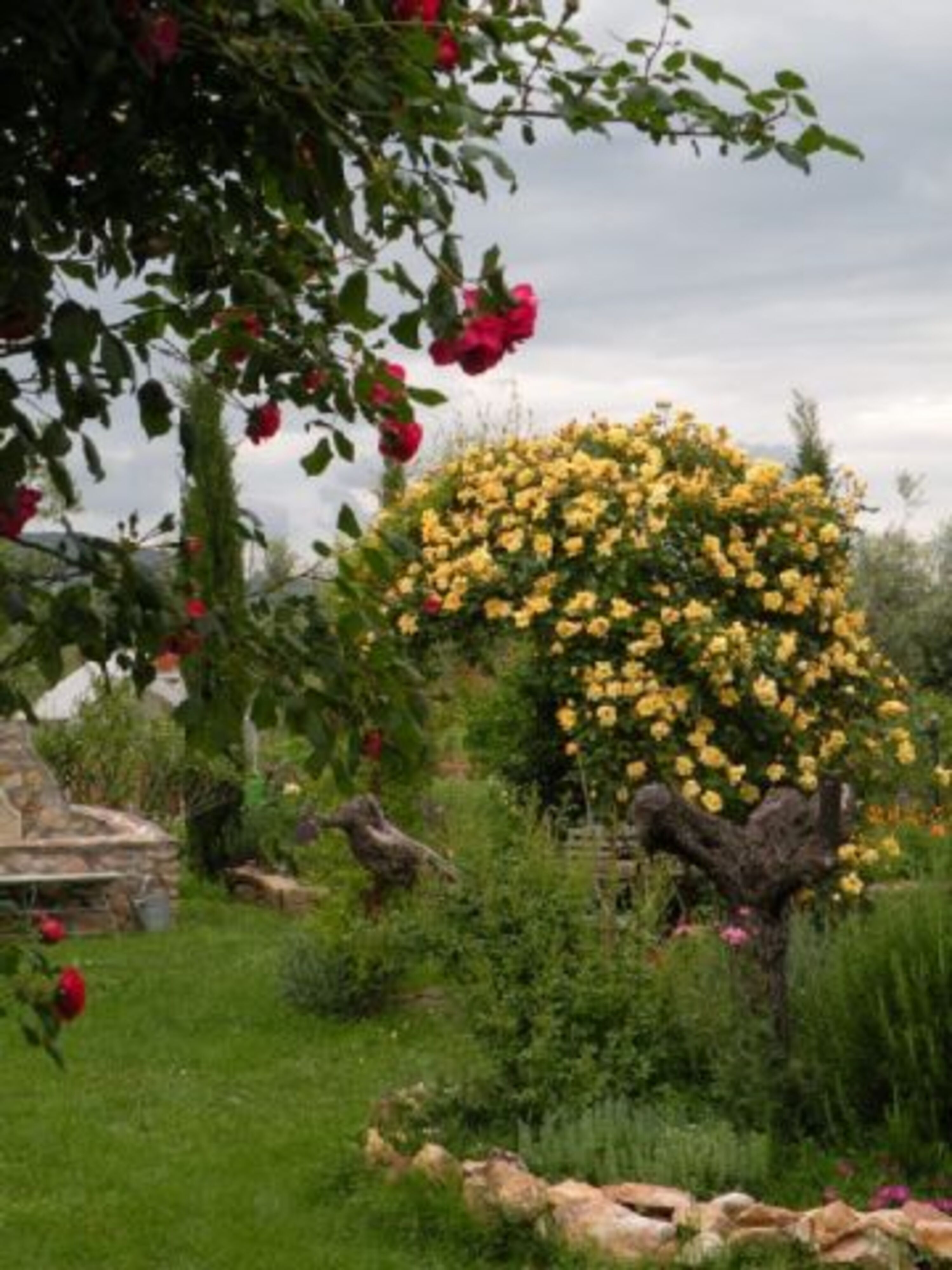 ringsherum nur Gärten und Olivenhaine, Weinberge
