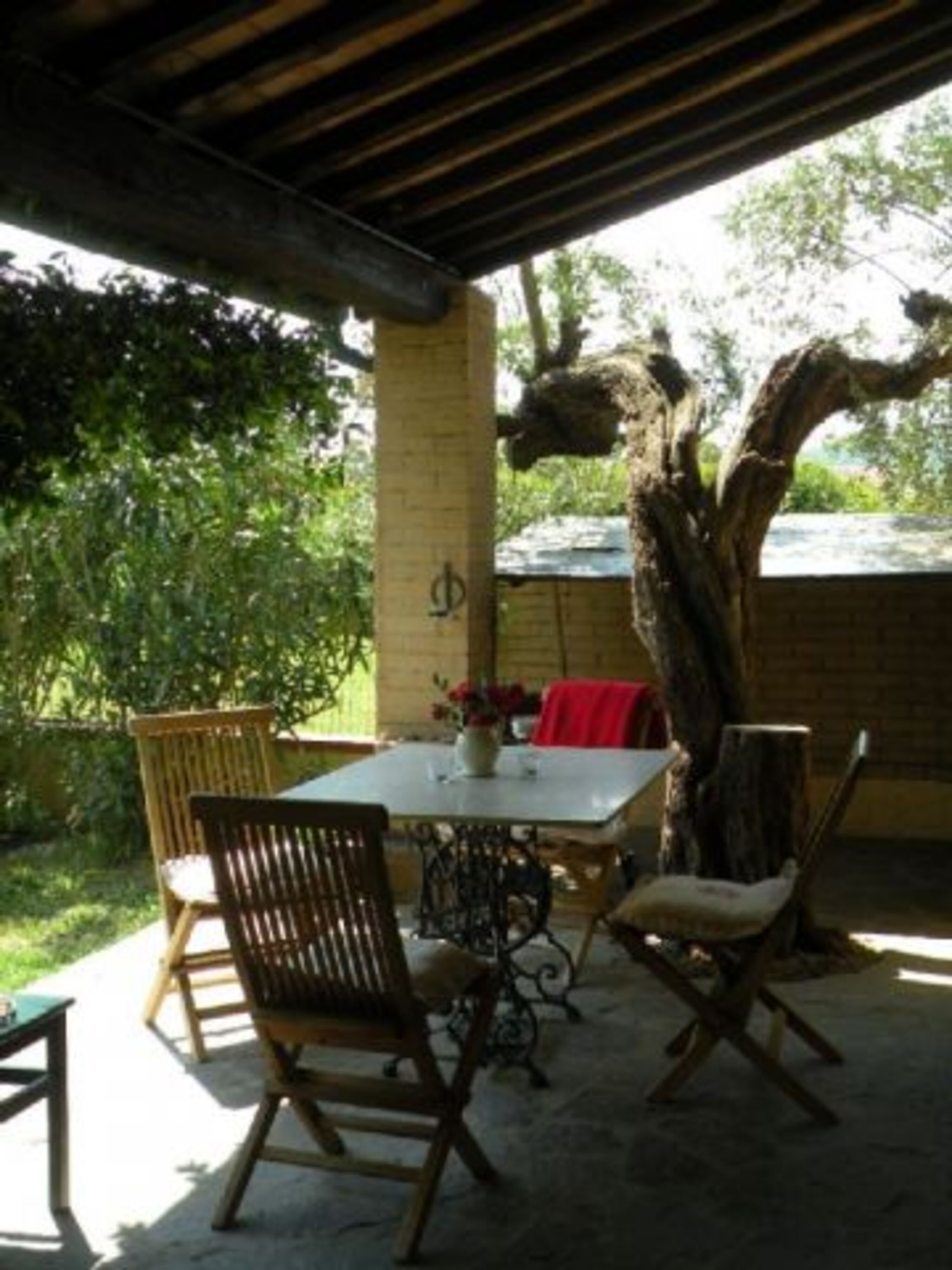 lauschige Pergola 