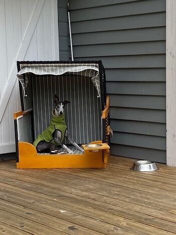 Auch die Pfoten haben Ihren Platz ;)