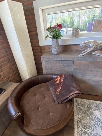 Bei uns ist der Hund König ?