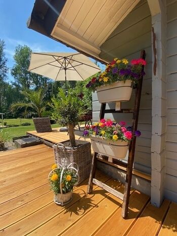 Alles blüht bei uns im Sommer