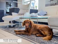 Ferienhaus Mee(h)rZeit, Sauna, Kamin., WLAN, eingz. Garten