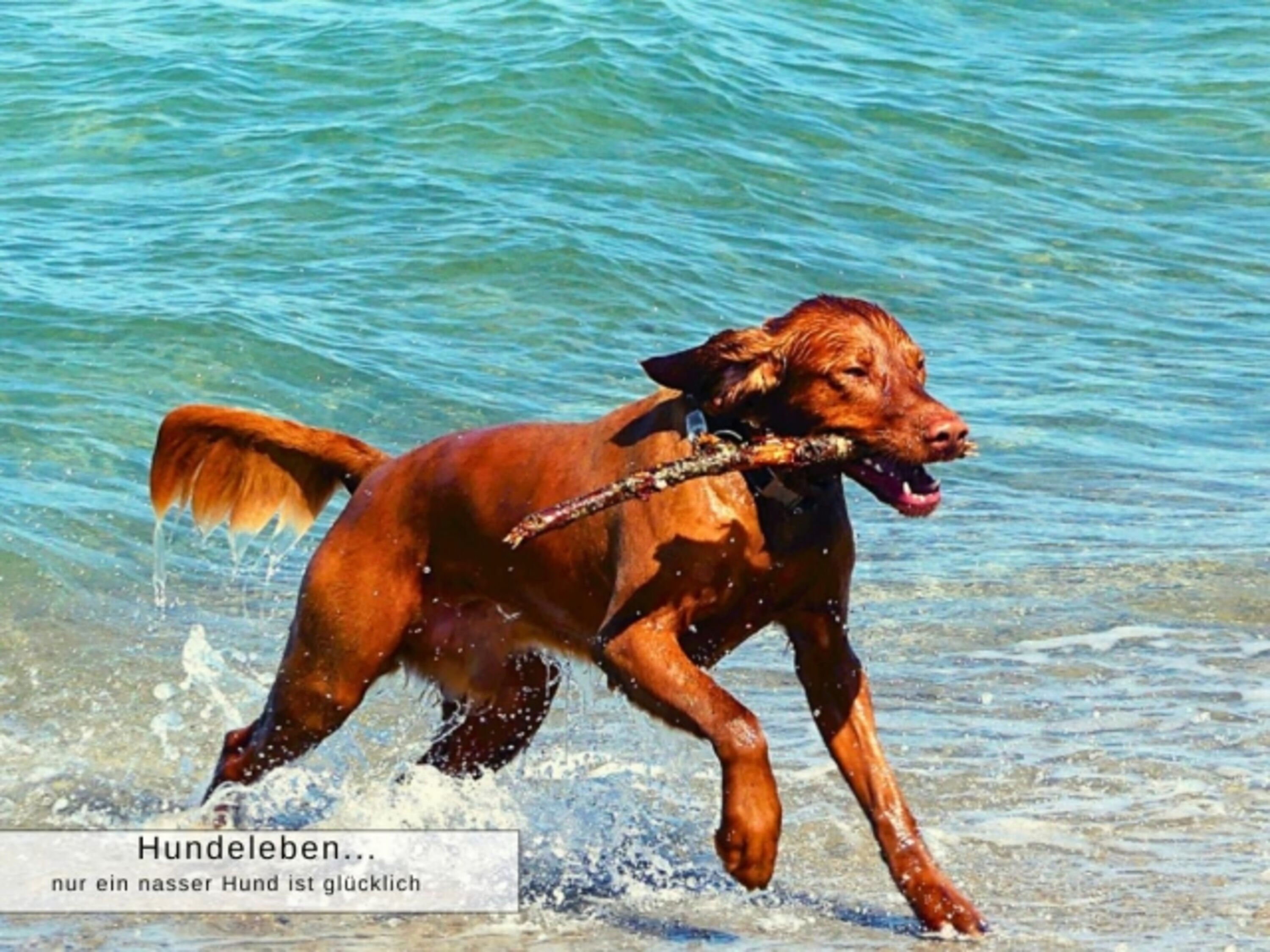 Bild 29