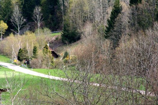 Ferienhaus in Alleinlage 