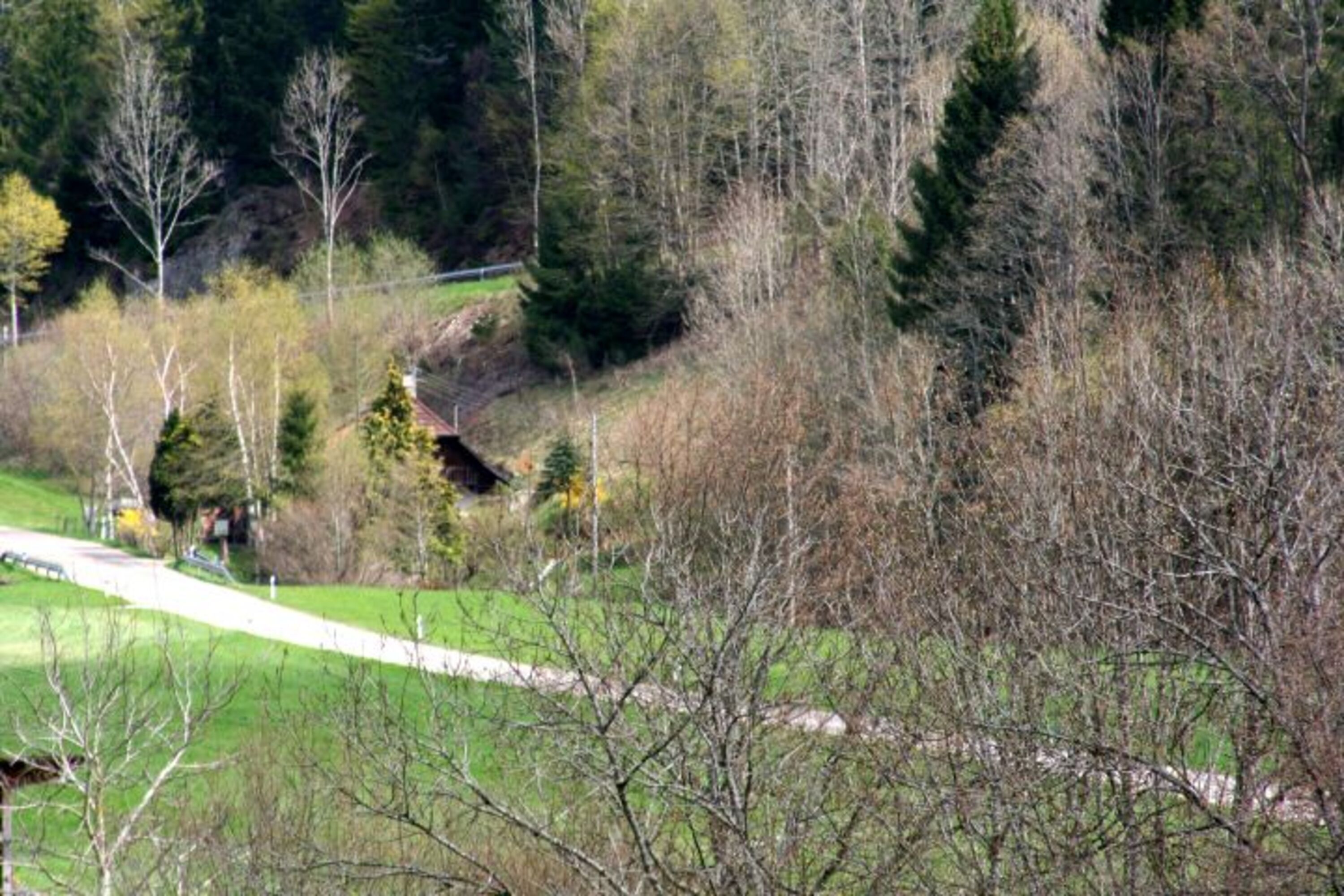 Ferienhaus in Alleinlage 