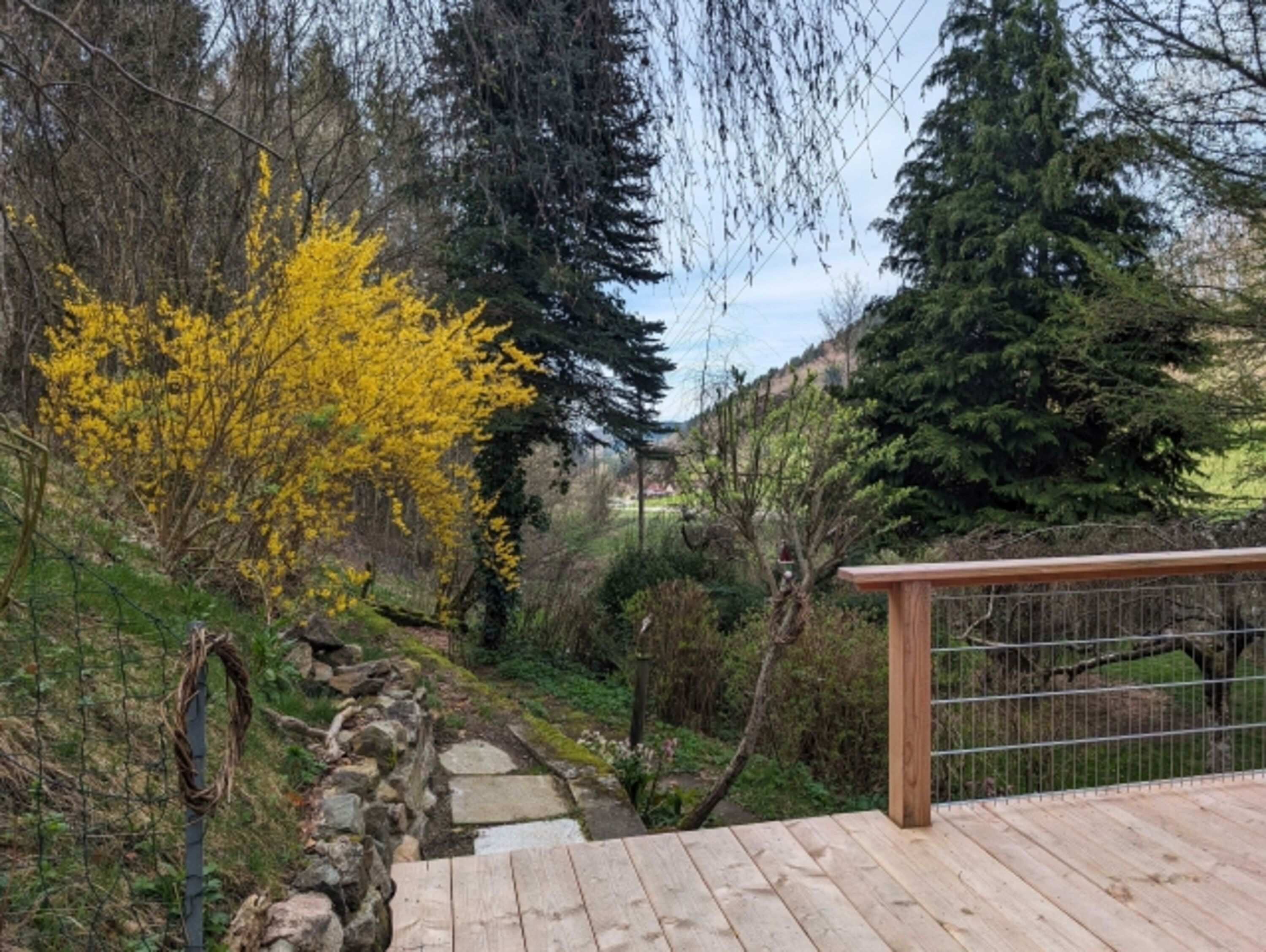 komplett eingezäunter Garten
