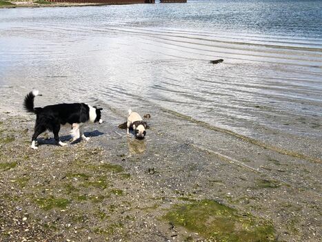 So fühlt sich Urlaub an