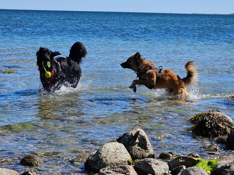 Planschen, toben, frei sein