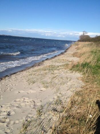 Naturstrand ca. 500m entfernt