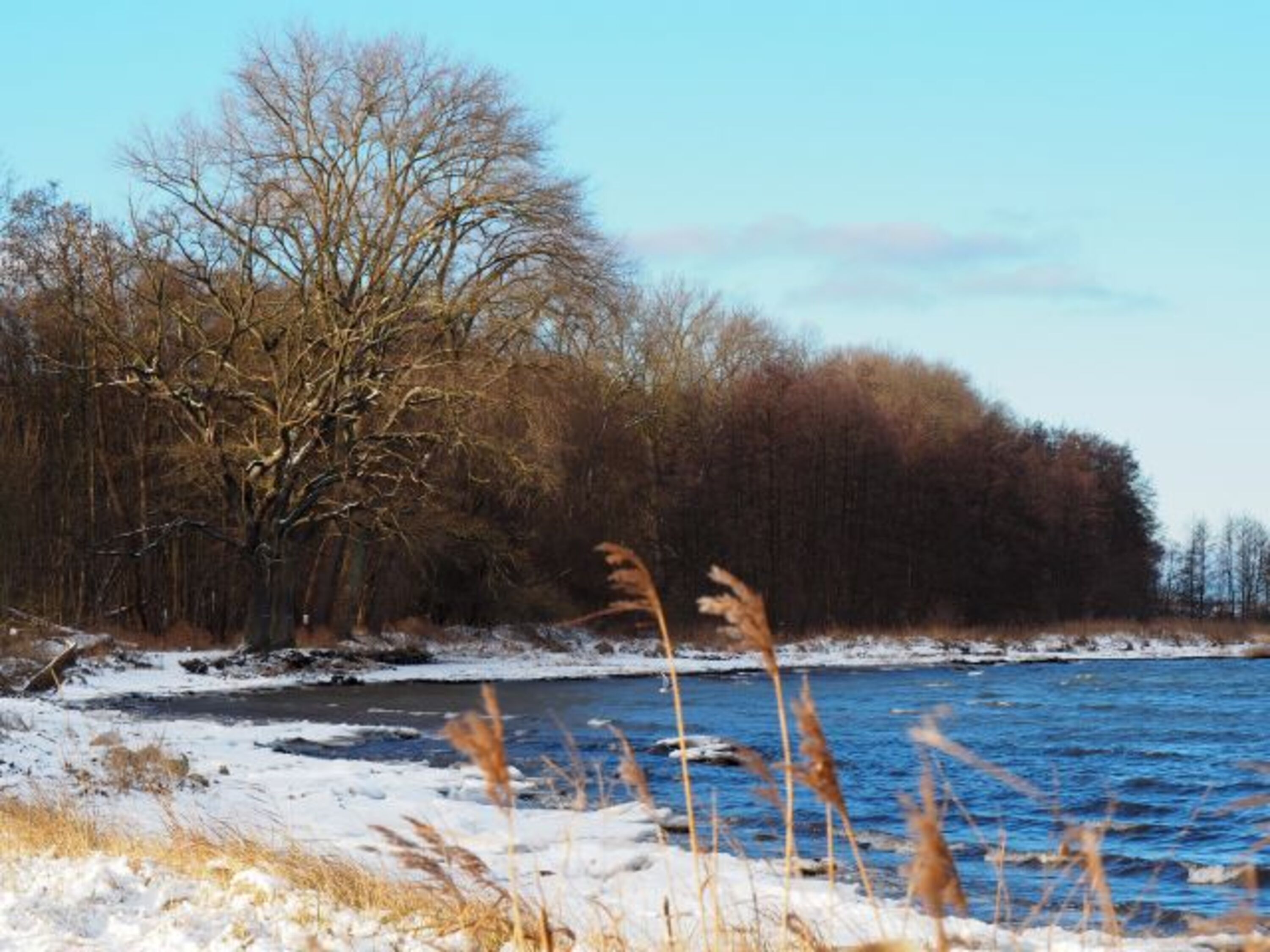 Bucht von Zierow