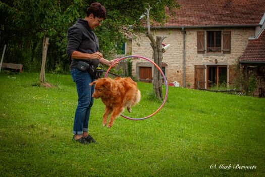 Spass und Spiel für Mensch und Hund