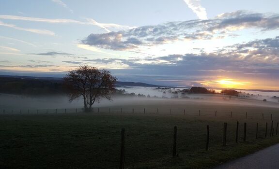 Landschaft November 2018