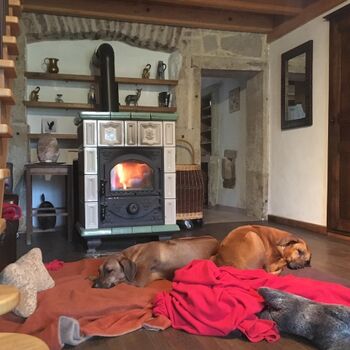 Entspannung auch für Vierbeiner