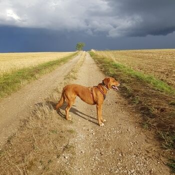 Wanderwege so weit das Auge reicht