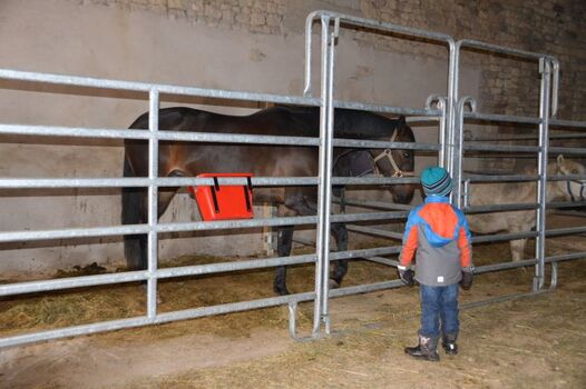Panelboxen für unsere Gastreiter