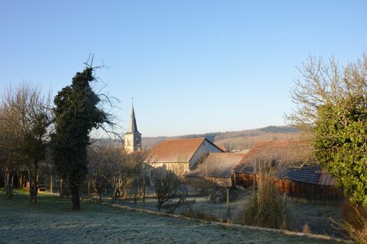 Blick aus dem Garten