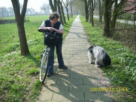 Fahrradwege jede Menge