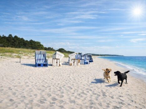 Strand der Schaabe in Juliusruh 80 m entfernt