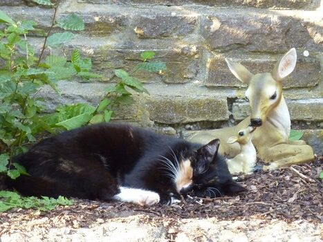 Bitte nicht stören!